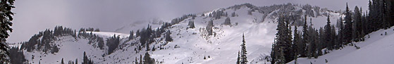 Looking away from Mazama Ridge, Mt. Rainier